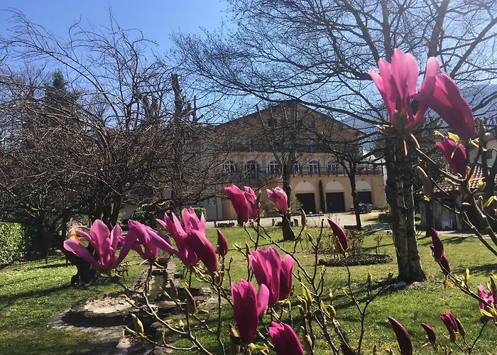Logis Hotel Restaurant Le Castel Fleuri